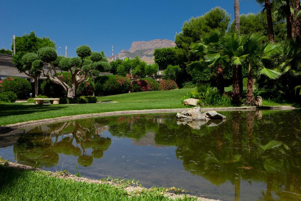 Hotel Jardines De Amaltea à Lorca  Extérieur photo