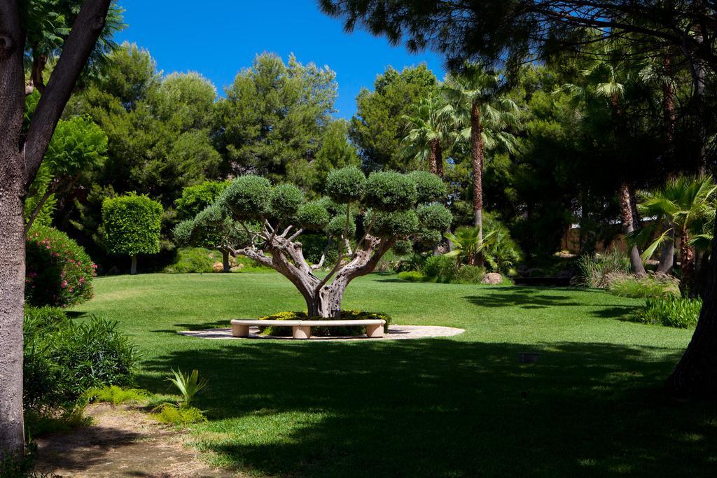 Hotel Jardines De Amaltea à Lorca  Extérieur photo
