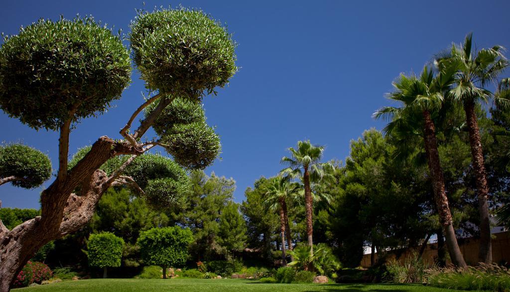 Hotel Jardines De Amaltea à Lorca  Extérieur photo