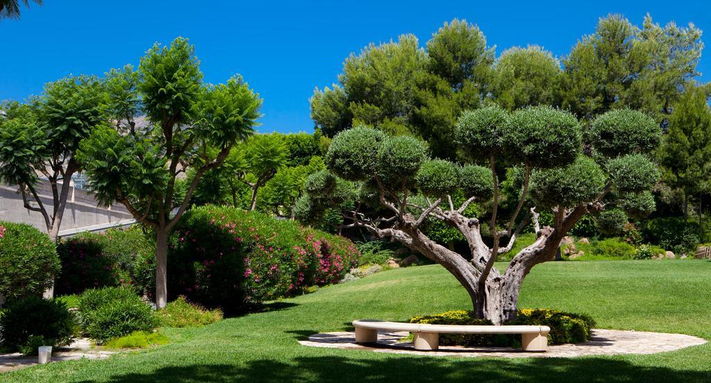 Hotel Jardines De Amaltea à Lorca  Extérieur photo